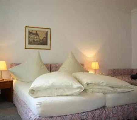 Altstadthotel Molitor Otel